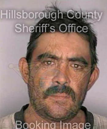 Ortega Ramon - Hillsborough County, FL 