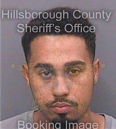 Brown William - Hillsborough County, FL 