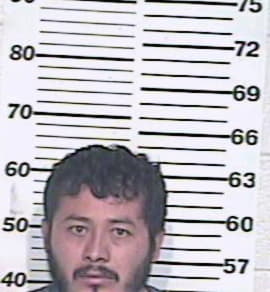 Flores Armando - Hidalgo County, TX 