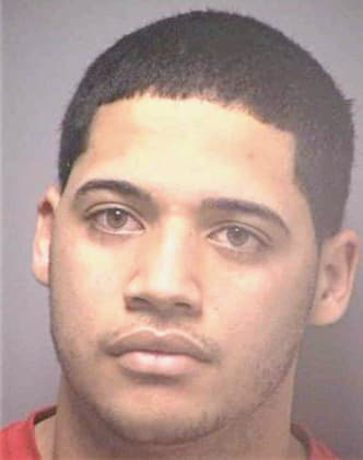 Gonzalez Jose - Hillsborough County, FL 