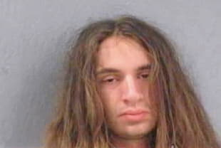 Douglas Robyn - Greene County, MO 