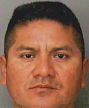 Reyesmorales Roberto - Polk County, FL 