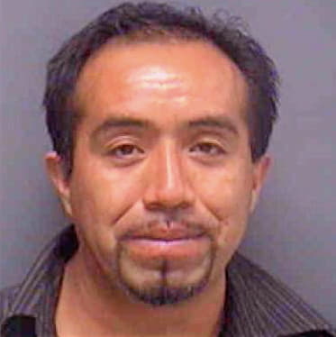 Vicente-Garcia Antonio - Lee County, FL 
