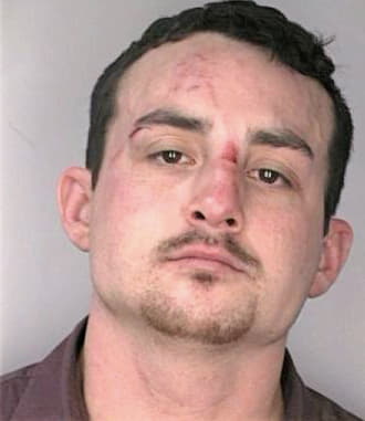 Hurst Christopher - Hillsborough County, FL 