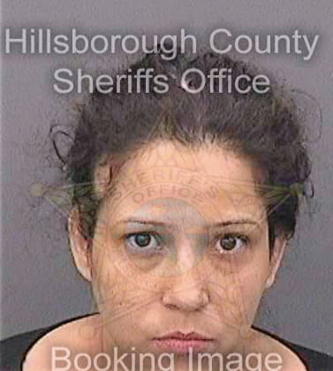 Freytes Jezmary - Hillsborough County, FL 