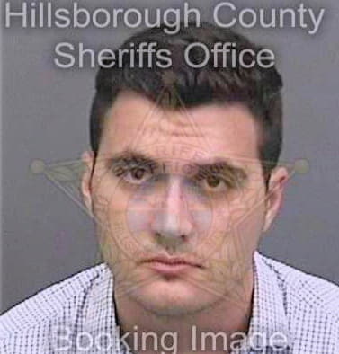 Sadeghpour Michael - Hillsborough County, FL 