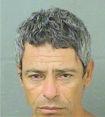 Santiagoortiz Ramon - PalmBeach County, FL 