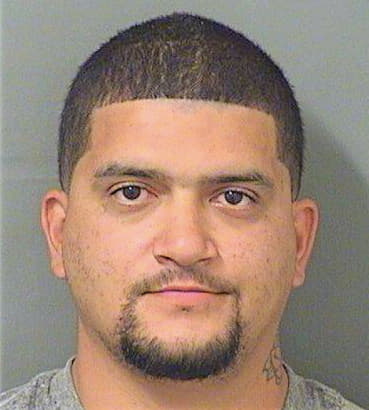 Castro Anthony - PalmBeach County, FL 