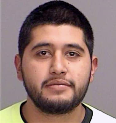 Esquivel Carlos - Brazos County, TX 