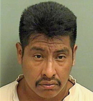 Andres Jose - PalmBeach County, FL 