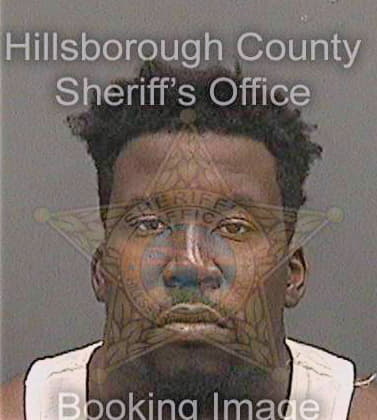 Luc Marvin - Hillsborough County, FL 