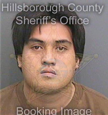 Nguyen Tan - Hillsborough County, FL 