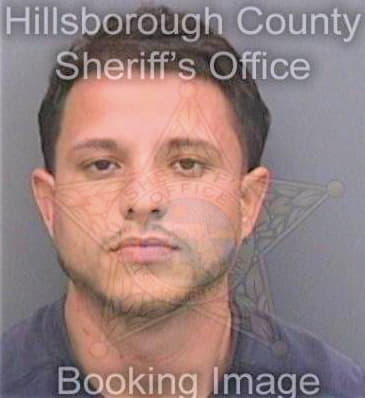 Gonzalez Christian - Hillsborough County, FL 