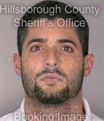Delgado Paul - Hillsborough County, FL 