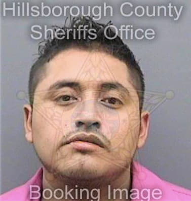 Garciaperez Pedro - Hillsborough County, FL 