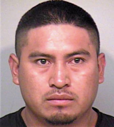 Millan-Alvear Agustin - Madera County, CA 