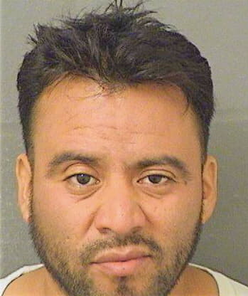 Diazvelasquez Agusto - PalmBeach County, FL 