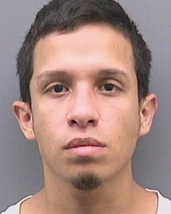 Vasquez Antonio - Hillsborough County, FL 