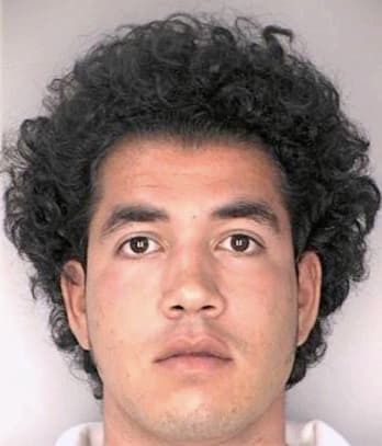 Perez Eric - Hillsborough County, FL 