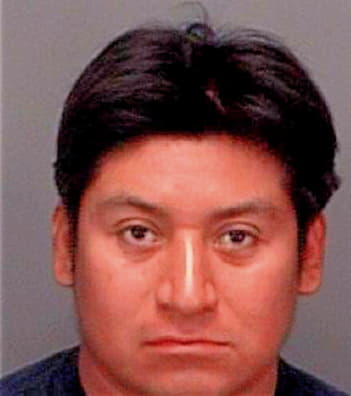 Vargashernandez Fidel - Pinellas County, FL 