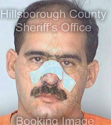 Hernandez Mario - Hillsborough County, FL 