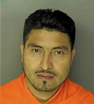 Roblero-Arreaga Rofely - Horry County, SC 