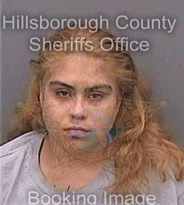 Lebron Rosemercy - Hillsborough County, FL 