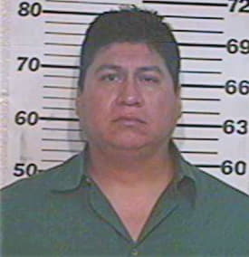 Anguiano Daniel - Hidalgo County, TX 