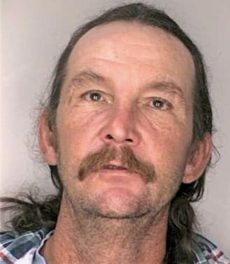 Strickland David - Hillsborough County, FL 