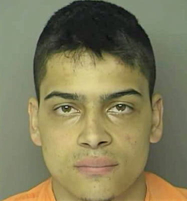 Araujo Guillerme - Horry County, SC 