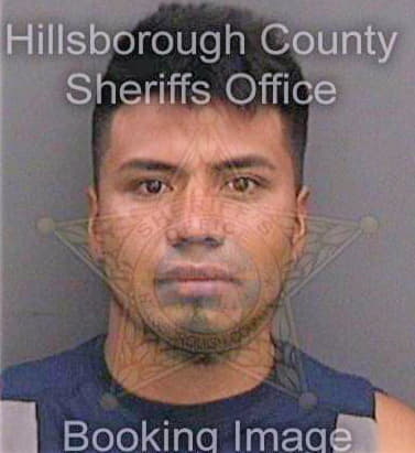 Antoniomateo Benjamin - Hillsborough County, FL 