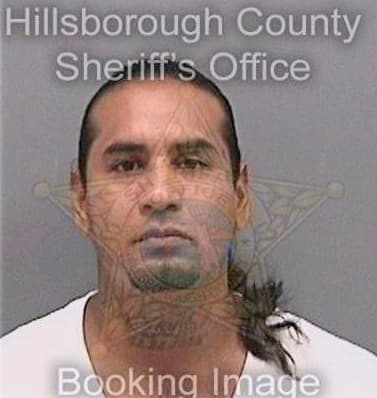 Mata Miguel - Hillsborough County, FL 