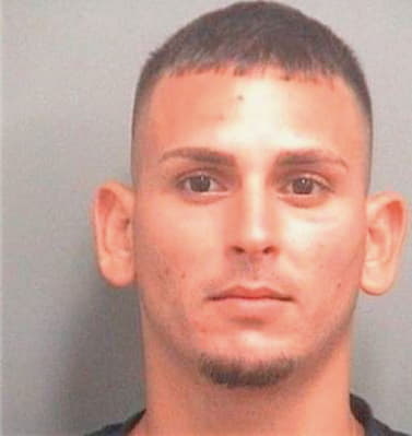 Feyzioglu Ozcan - PalmBeach County, FL 