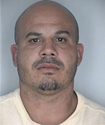 Tirado Reynaldo - Hillsborough County, FL 