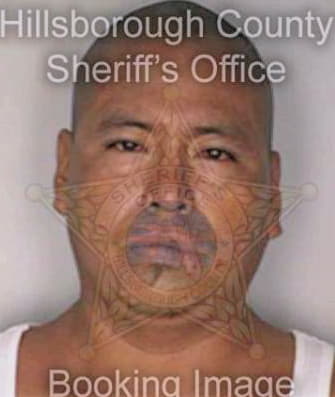 Hernandez Alejandro - Hillsborough County, FL 