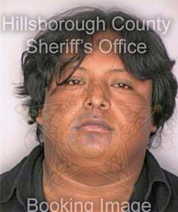 Perez Bernando - Hillsborough County, FL 