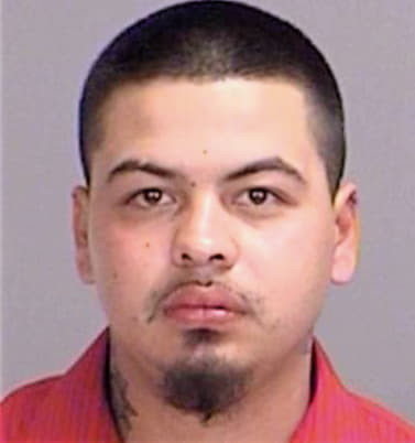 Becerra Danny - Brazos County, TX 