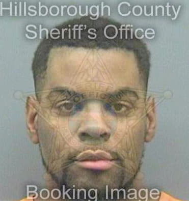 Boykins Deangelo - Hillsborough County, FL 