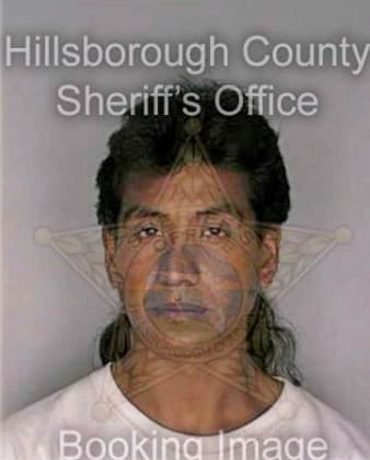 Montessanchez J - Hillsborough County, FL 