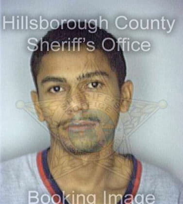 Dejesuspujols Angel - Hillsborough County, FL 