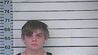 Andrews Brian - Desoto County, MS 