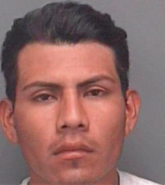Francisco Ernesto - Pinellas County, FL 