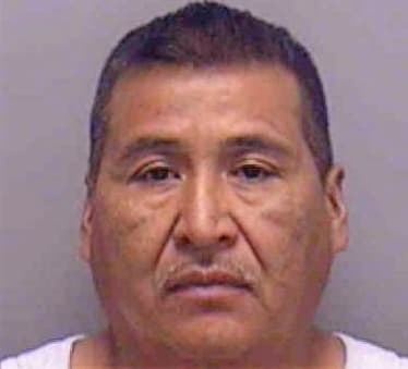 Monter Jacinto - Lee County, FL 