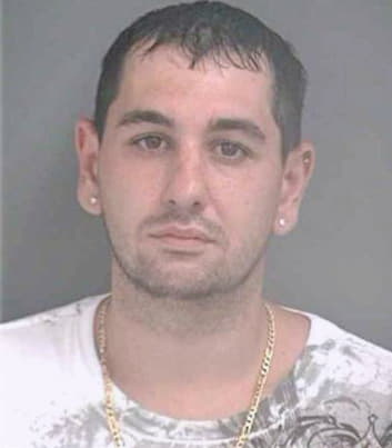 Kanganis Nicholas - Hillsborough County, FL 