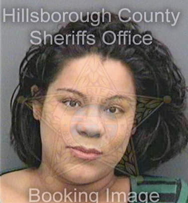 Arroyo Amy - Hillsborough County, FL 