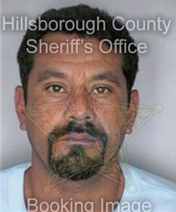 Gonzalez Andres - Hillsborough County, FL 