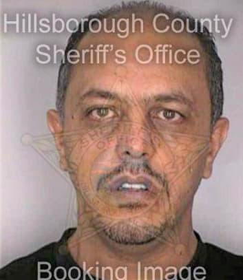 Banoub Hani - Hillsborough County, FL 