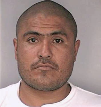 Gonzalez Juan - Hillsborough County, FL 