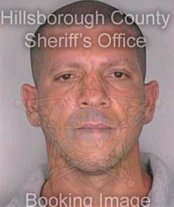 Llera Nestor - Hillsborough County, FL 