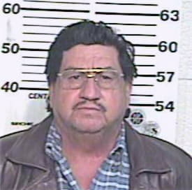 Venegas Sergio - Hidalgo County, TX 